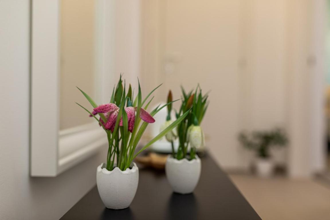 Apartman Grzetic 실로 외부 사진